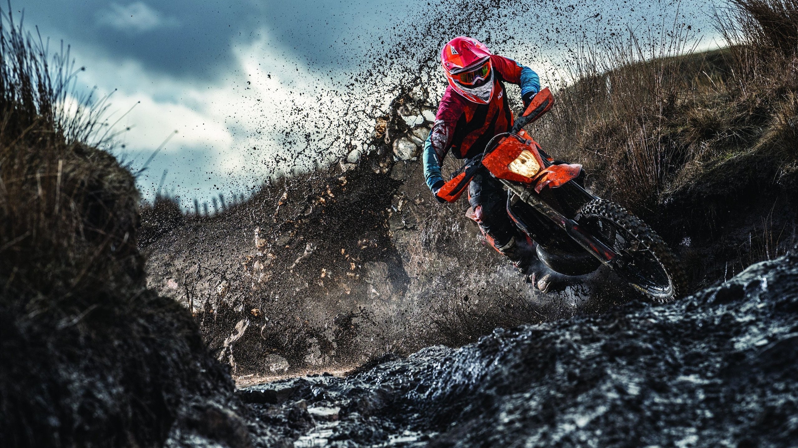 各类体育联赛关注度不断提升