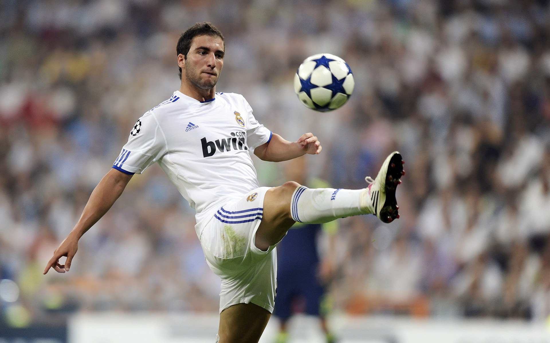 欧冠八强:本菲卡主场被绝平 客场进球少遗憾出局